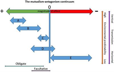 Context Dependency in Bark Beetle-Fungus Mutualisms Revisited: Assessing Potential Shifts in Interaction Outcomes Against Varied Genetic, Ecological, and Evolutionary Backgrounds